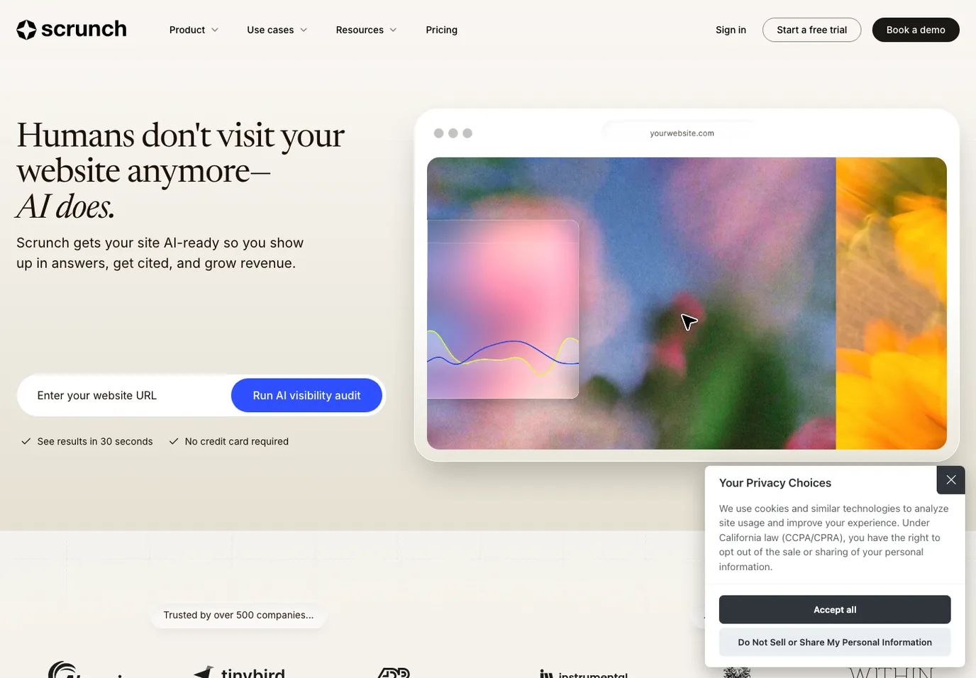 Scrunch public homepage screenshot