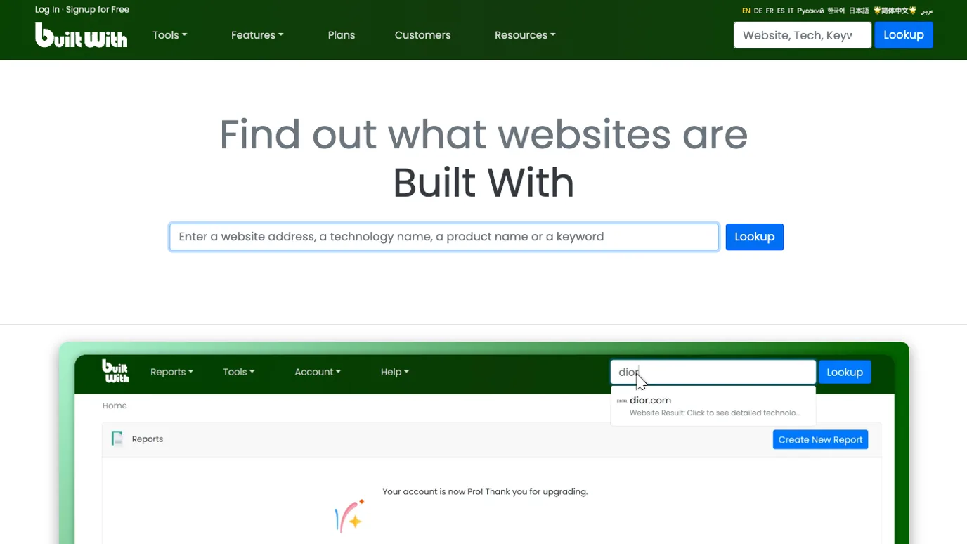 BuiltWith official page for website technology lookup